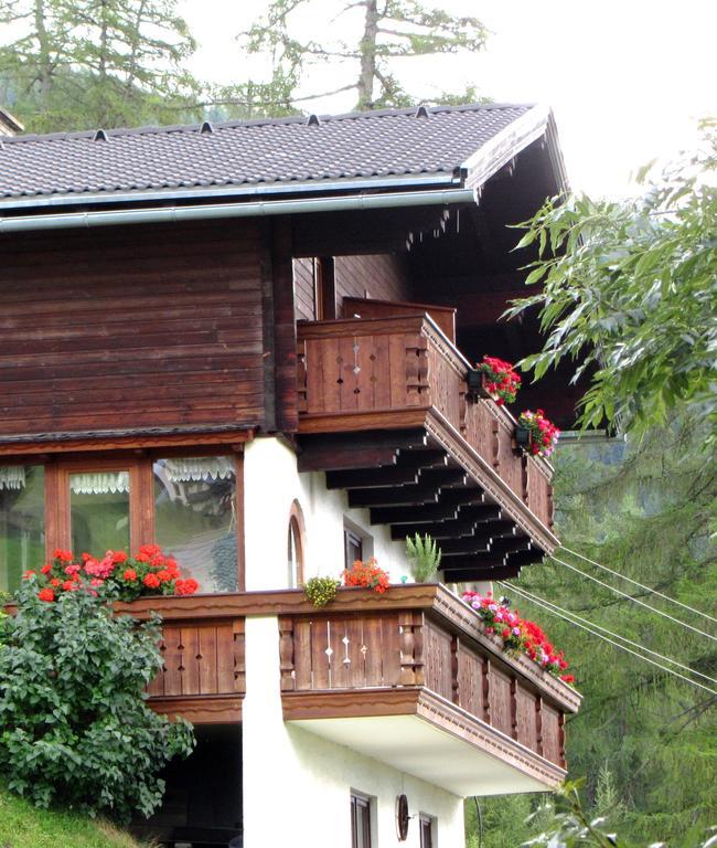 Appartement Seppenbauer Heiligenblut Ngoại thất bức ảnh